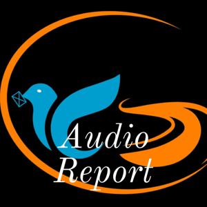 Audio Report