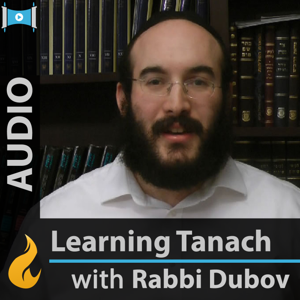 Learning Tanach