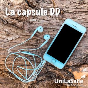 La capsule DD