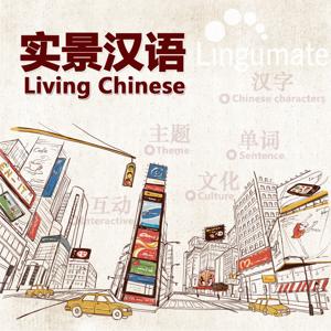 实景汉语Living Chinese