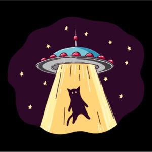 Space cat