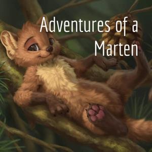 Adventures of a Marten