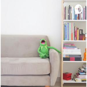 Kiwi reads