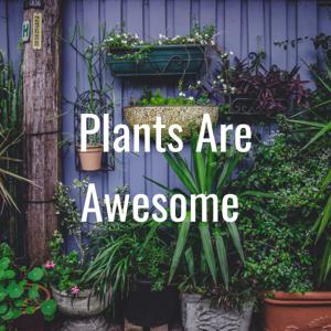 Plants Are Awesome