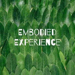 Embodied Experience - The Path of Evolving