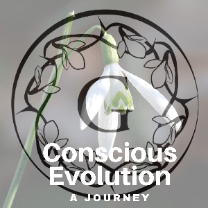 Conscious Evolution:The Journey