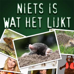 Niets Is Wat Het Lijkt