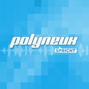 Polyneux - Wir lieben Videospiele... meistens by Polyneux