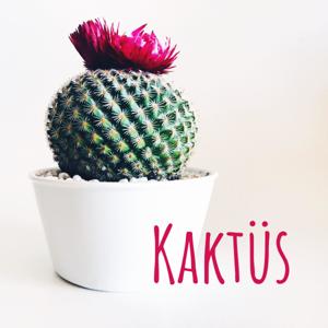 Kaktüs - Cactus