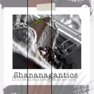 Shananagantics
