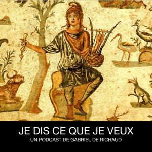 JE DIS CE QUE JE VEUX