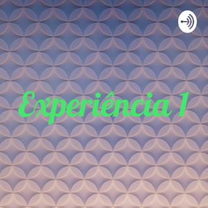 Experiência 1