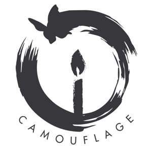 Camouflage - Dhamma Talk