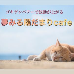 夢みる陽だまりcafe