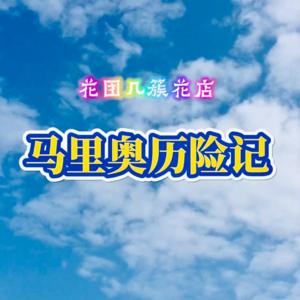 任天堂switch游戏《超级马力欧》马里奥旅行历险