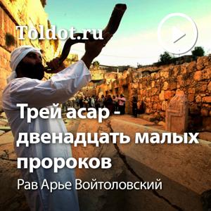 Рав Арье Войтоловский  — Книга Пророка Ошеа — одного из двенадцати «малых пророков».