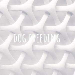 dog breeding