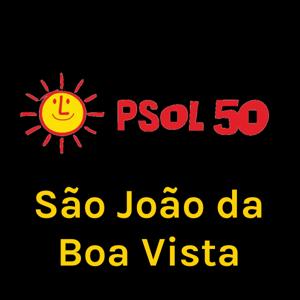 São João da Boa Vista