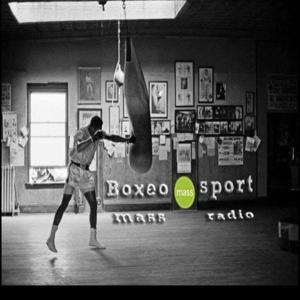 Boxeo sport