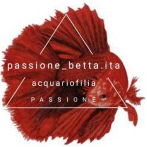 Acquario Semplice