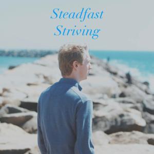 Steadfast Striving