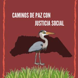 Caminos de Paz con Justicia social