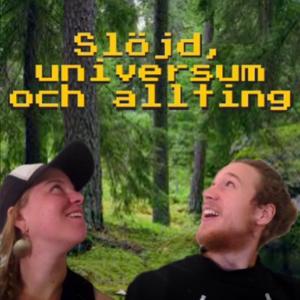 Slöjd, universum och allting