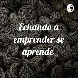 Echando a emprender se aprende