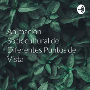 Animación Sociocultural de Diferentes Puntos de Vista