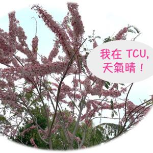 我在TCU,天氣晴！