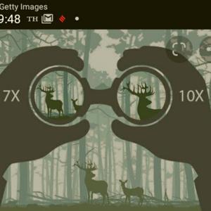 Binoculars