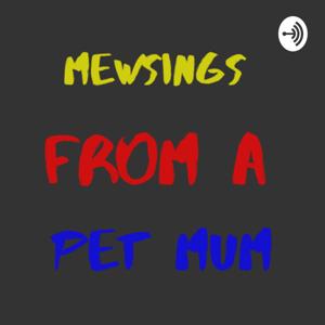 Mewsings from a pet mum introduction