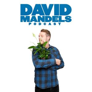 David Mandels Podcast by David Mandel