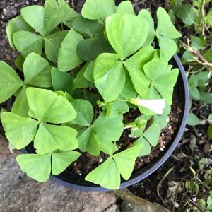 Porch Time With Ms. McKinney