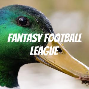 Fantasy Football League