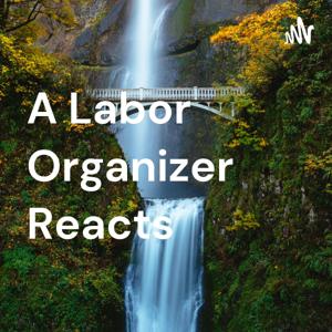 A Labor Organizer Reacts