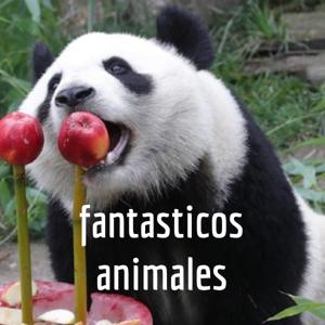 fantasticos animales