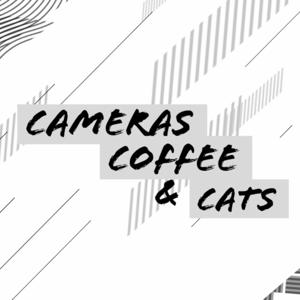 Cameras Coffee & Cats