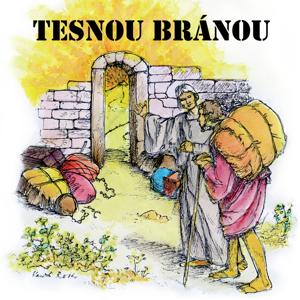 Tesnou bránou - biblické zamyslenia na každý deň by Tesnou bránou - biblické zamyslenia na každý deň