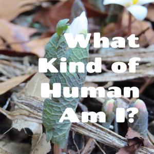 What Kind of Human?