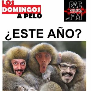 LOS DOMINGOS A PELO