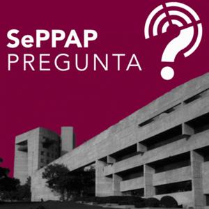 SePPAP Pregunta