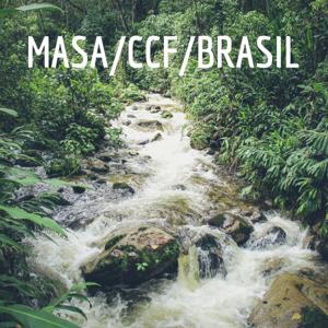 Ministério Apostólico Santuário De Adoradores