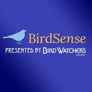 BirdSense:  A Podcast by Bird Watcher's Digest