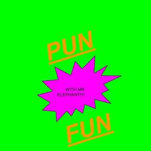 PUN FUN