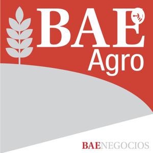 BAE Negocios AGRO