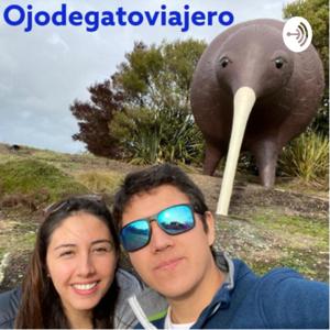 Ojodegatoviajero