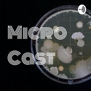 Micro Cast