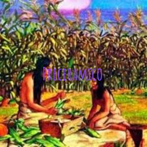 Preceramico: Agricultores y Horticultores