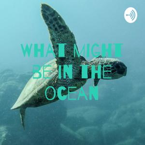 What might be in the ocean